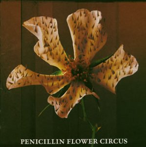 Penicillin • 2004 • Flower Circus